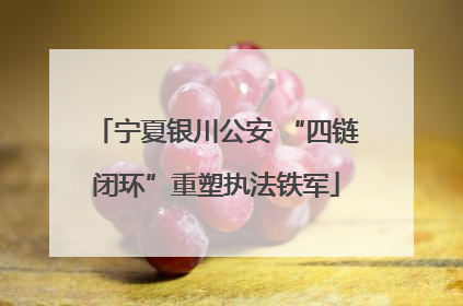 宁夏银川公安 “四链闭环”重塑执法铁军
