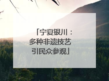 宁夏银川：多种非遗技艺引民众参观