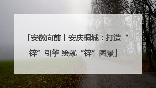 安徽向前丨安庆桐城：打造“锌”引擎 绘就“锌”图景