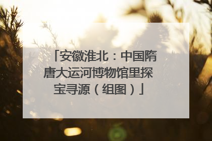 安徽淮北：中国隋唐大运河博物馆里探宝寻源（组图）