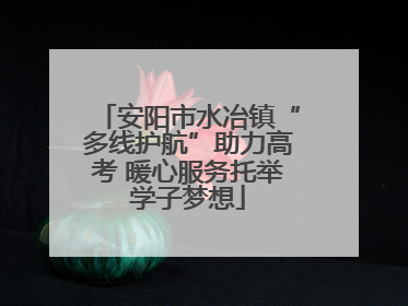安阳市水冶镇“多线护航”助力高考 暖心服务托举学子梦想