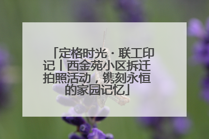 定格时光・联工印记丨西金苑小区拆迁拍照活动，镌刻永恒的家园记忆