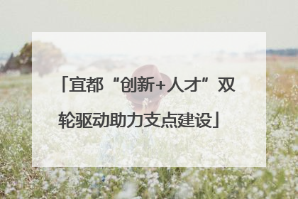 宜都“创新+人才”双轮驱动助力支点建设