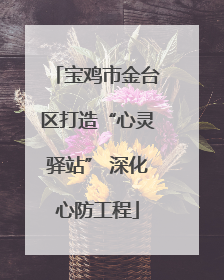 宝鸡市金台区打造“心灵驿站” 深化心防工程