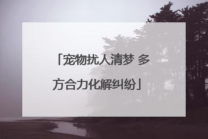 宠物扰人清梦 多方合力化解纠纷