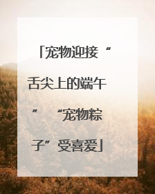 宠物迎接“舌尖上的端午” “宠物粽子”受喜爱