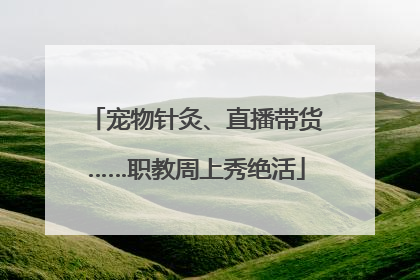 宠物针灸、直播带货……职教周上秀绝活