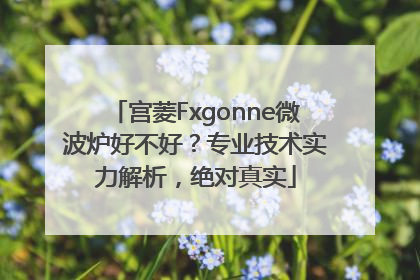 宫菱Fxgonne微波炉好不好？专业技术实力解析，绝对真实