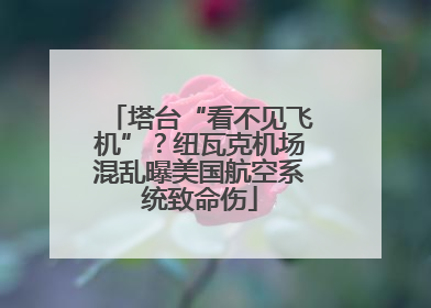 塔台“看不见飞机”？纽瓦克机场混乱曝美国航空系统致命伤