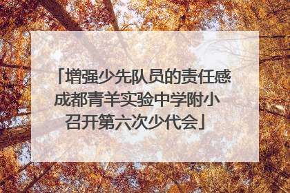 增强少先队员的责任感 成都青羊实验中学附小召开第六次少代会