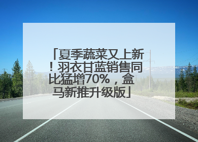 夏季蔬菜又上新！羽衣甘蓝销售同比猛增70%，盒马新推升级版