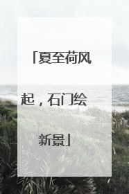 夏至荷风起，石门绘新景