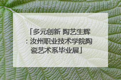 多元创新 陶艺生辉：汝州职业技术学院陶瓷艺术系毕业展