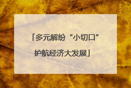 多元解纷“小切口” 护航经济大发展
