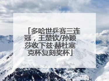 多哈世乒赛三连冠，王楚钦/孙颖莎收下兹·赫杜塞克杯复刻奖杯