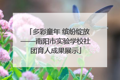 多彩童年 缤纷绽放——南阳市实验学校社团育人成果展示