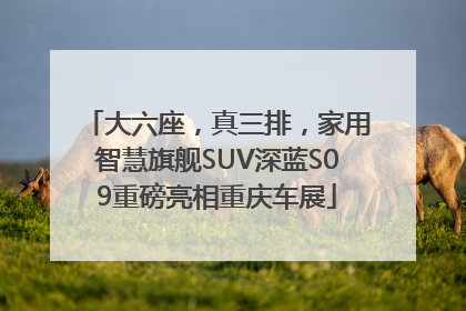 大六座，真三排，家用智慧旗舰SUV深蓝S09重磅亮相重庆车展