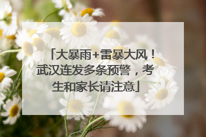 大暴雨+雷暴大风！武汉连发多条预警，考生和家长请注意