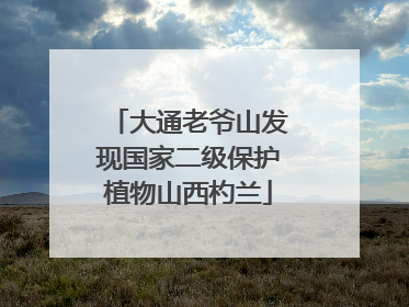 大通老爷山发现国家二级保护植物山西杓兰