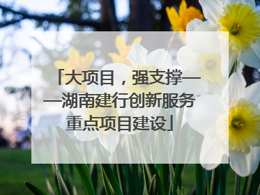 大项目，强支撑——湖南建行创新服务重点项目建设