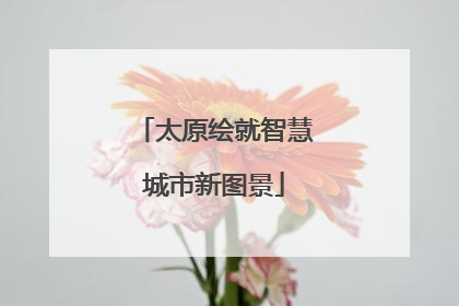 太原绘就智慧城市新图景