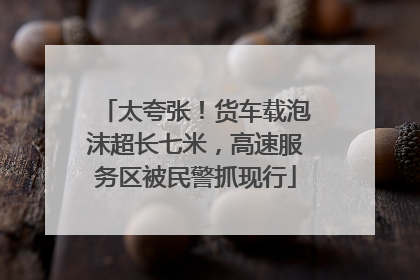 太夸张！货车载泡沫超长七米，高速服务区被民警抓现行