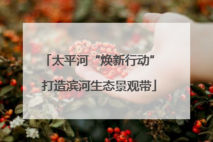 太平河“焕新行动” 打造滨河生态景观带