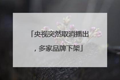 央视突然取消播出，多家品牌下架