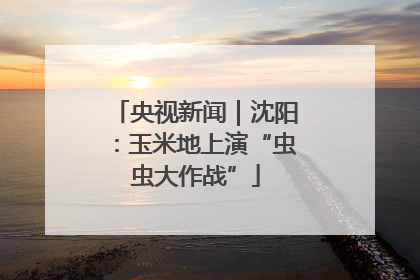 央视新闻｜沈阳：玉米地上演“虫虫大作战”