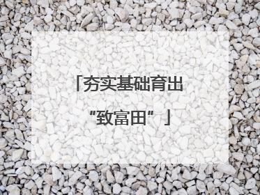 夯实基础育出“致富田”