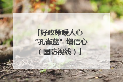 好政策暖人心 “孔雀蓝”增信心（国防视线）
