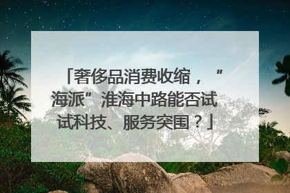 奢侈品消费收缩，“海派”淮海中路能否试试科技、服务突围？