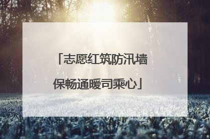 志愿红筑防汛墙 保畅通暖司乘心