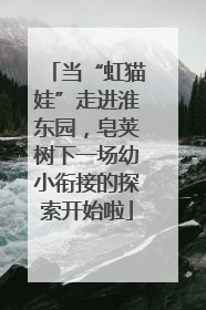 当“虹猫娃”走进淮东园，皂荚树下一场幼小衔接的探索开始啦