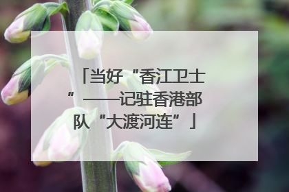 当好“香江卫士”——记驻香港部队“大渡河连”