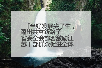 当好发展尖子生，蹚出共富新路子——省委全会部署激励江苏干部群众促进全体人民共同富裕
