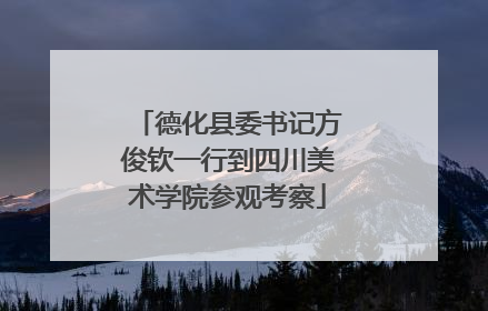 德化县委书记方俊钦一行到四川美术学院参观考察