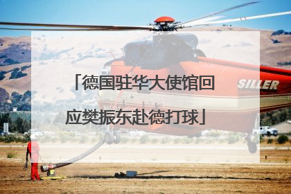 德国驻华大使馆回应樊振东赴德打球