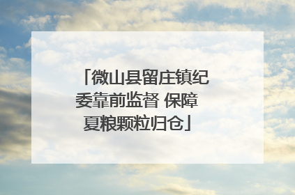 微山县留庄镇纪委靠前监督 保障夏粮颗粒归仓