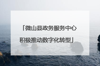 微山县政务服务中心积极推动数字化转型