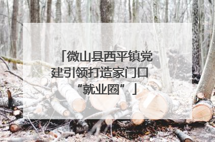 微山县西平镇党建引领打造家门口“就业圈”