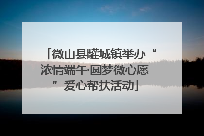 微山县驩城镇举办“浓情端午·圆梦微心愿”爱心帮扶活动