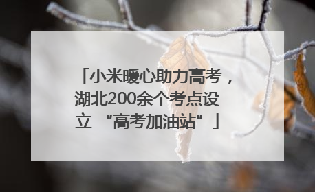 小米暖心助力高考，湖北200余个考点设立 “高考加油站”