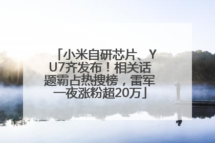 小米自研芯片、YU7齐发布！相关话题霸占热搜榜，雷军一夜涨粉超20万