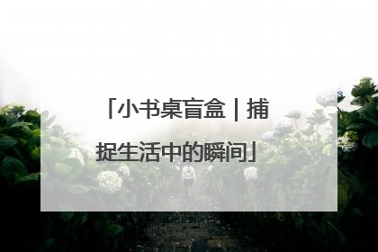 小书桌盲盒｜捕捉生活中的瞬间