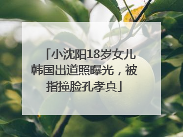 小沈阳18岁女儿韩国出道照曝光，被指撞脸孔孝真