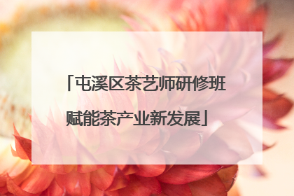 屯溪区茶艺师研修班赋能茶产业新发展