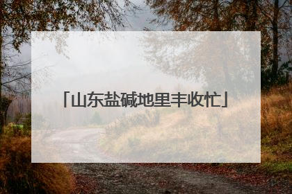 山东盐碱地里丰收忙