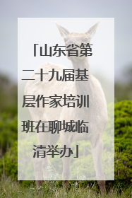 山东省第二十九届基层作家培训班在聊城临清举办