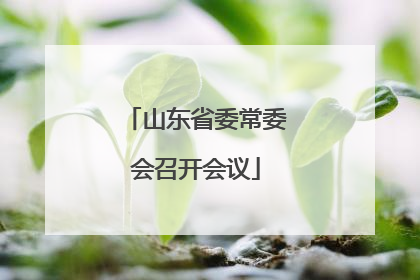 山东省委常委会召开会议